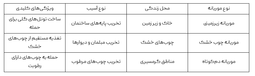  از بین بردن موریانه