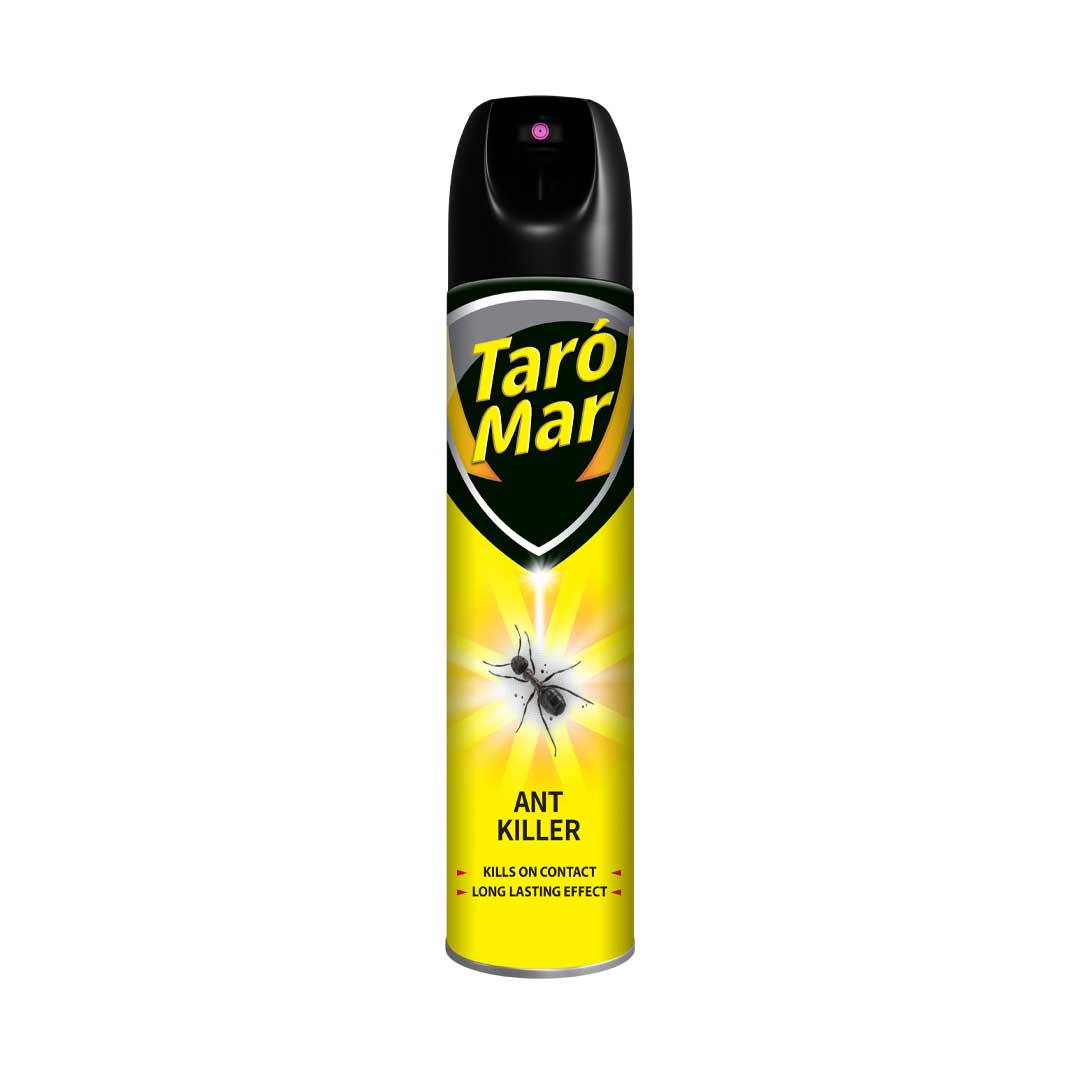 ant killer Spray